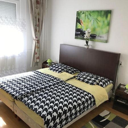 Zen Apartman 索尔诺克 外观 照片