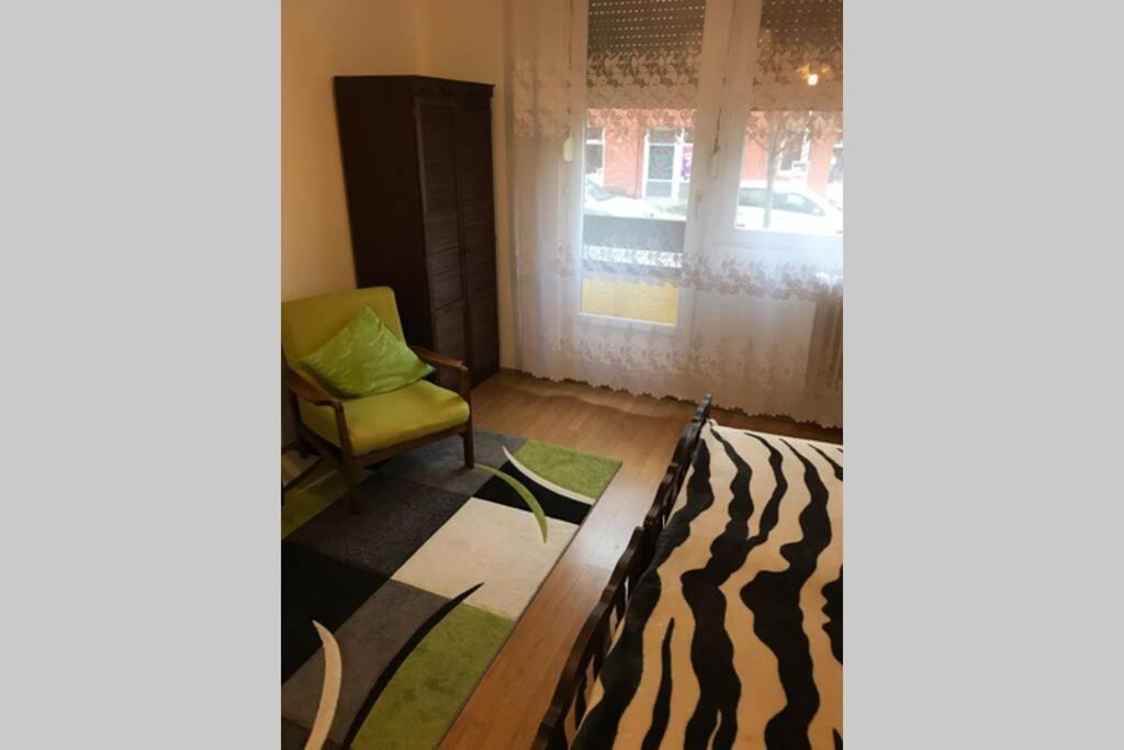Zen Apartman 索尔诺克 外观 照片