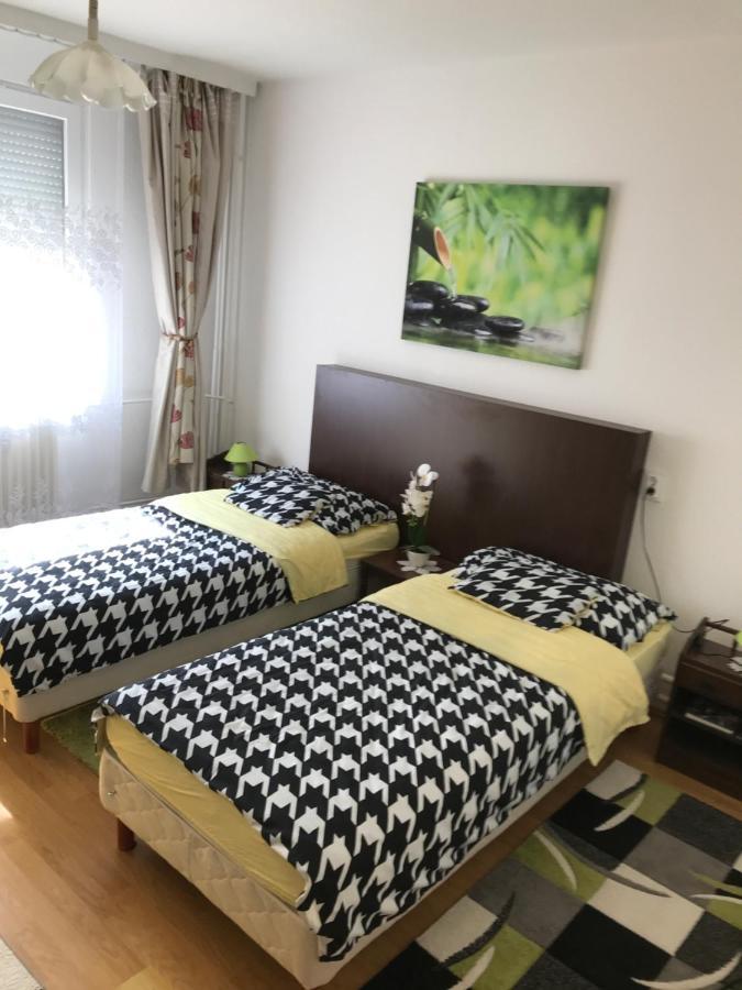 Zen Apartman 索尔诺克 外观 照片