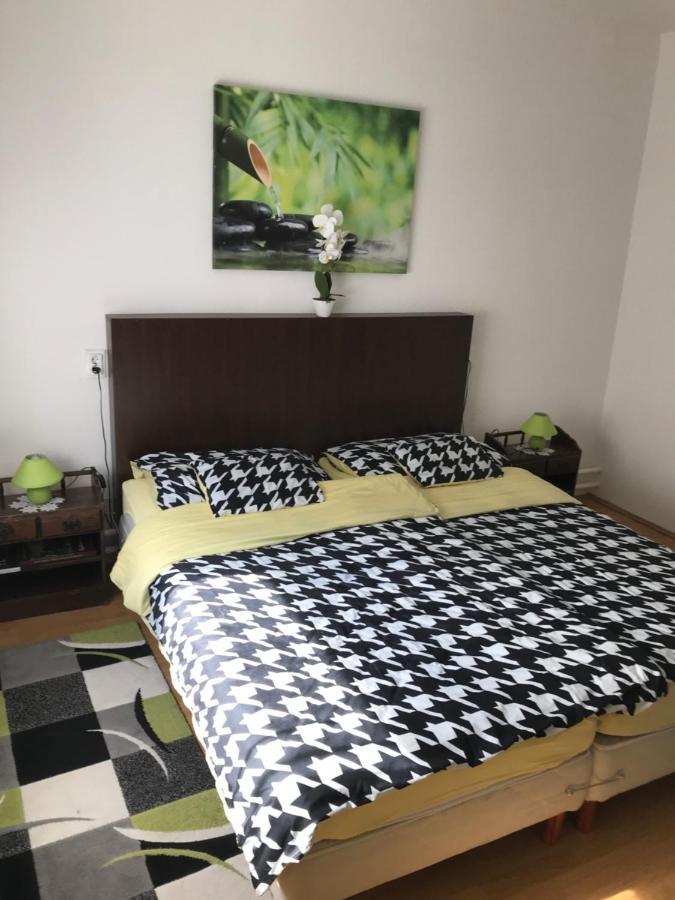 Zen Apartman 索尔诺克 外观 照片