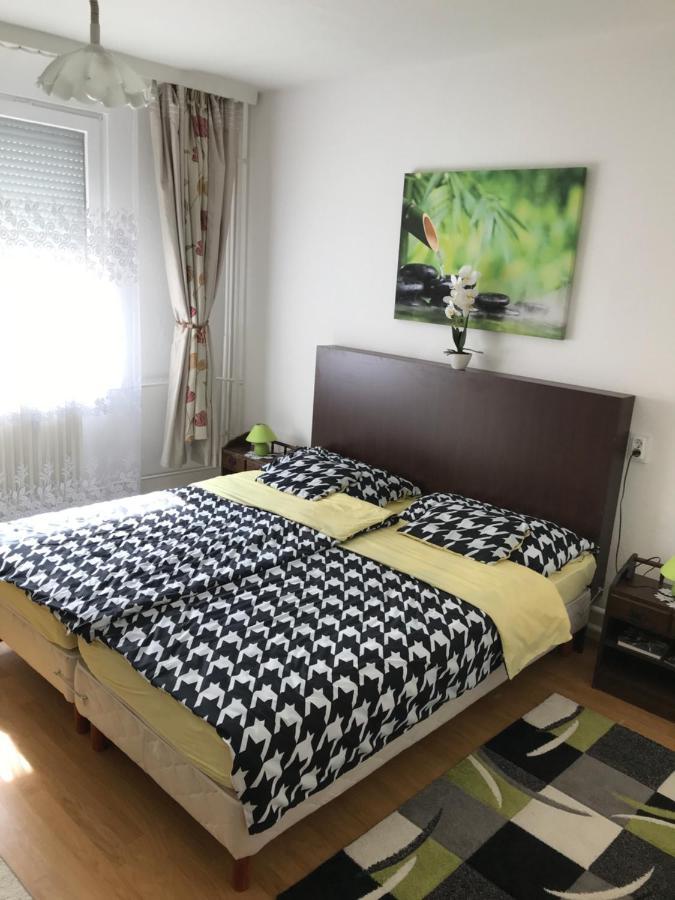 Zen Apartman 索尔诺克 外观 照片